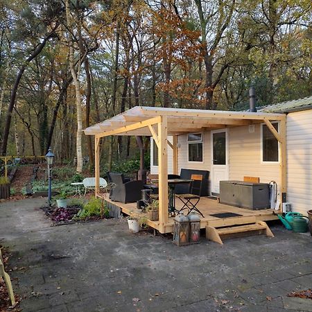 Chalet Met Veranda Aan Bosrand Vledder Екстериор снимка